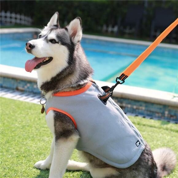 Dog Cooling Vest Dog Harness Cooler Jacket with Adjustable Zipper for Outdoor - Picture 6 of 7